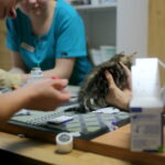 IMG_0687a (1)